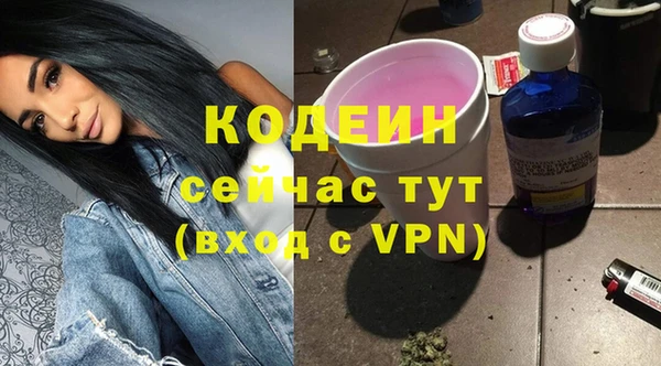 хмурый Горняк