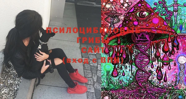 хмурый Горняк