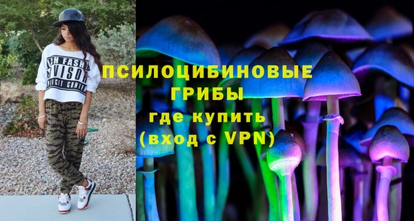MDMA Горнозаводск