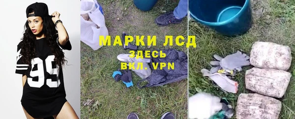 хмурый Горняк