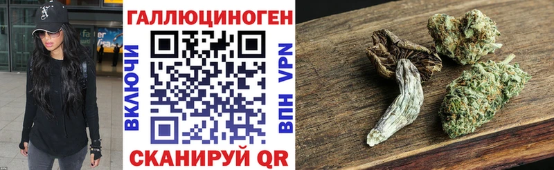 Галлюциногенные грибы Psilocybe  Юрга 